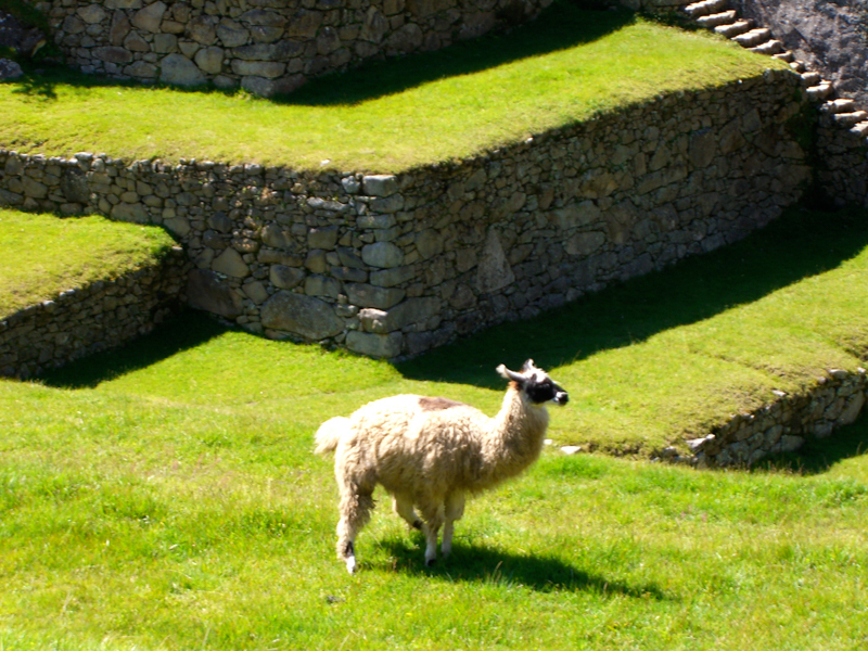 peru