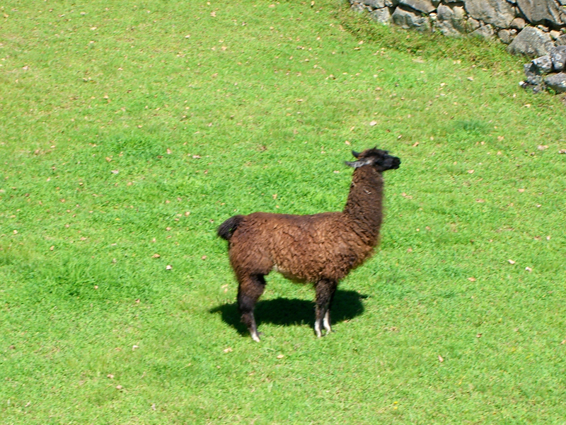 peru