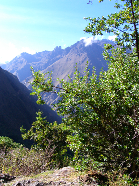 peru