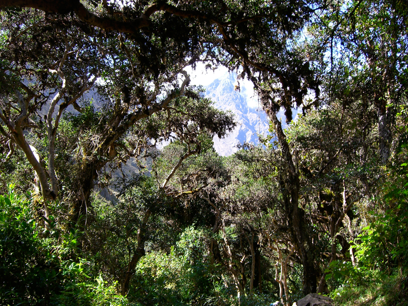 peru